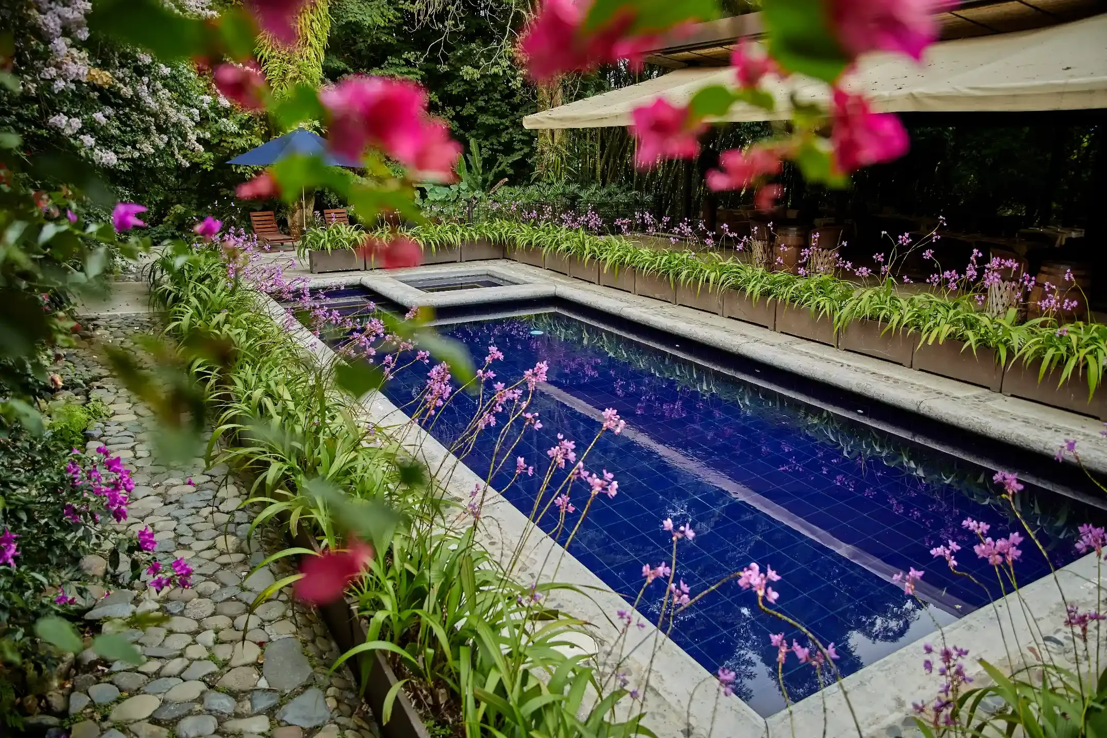 Galería de la Hacienda - Foto 12