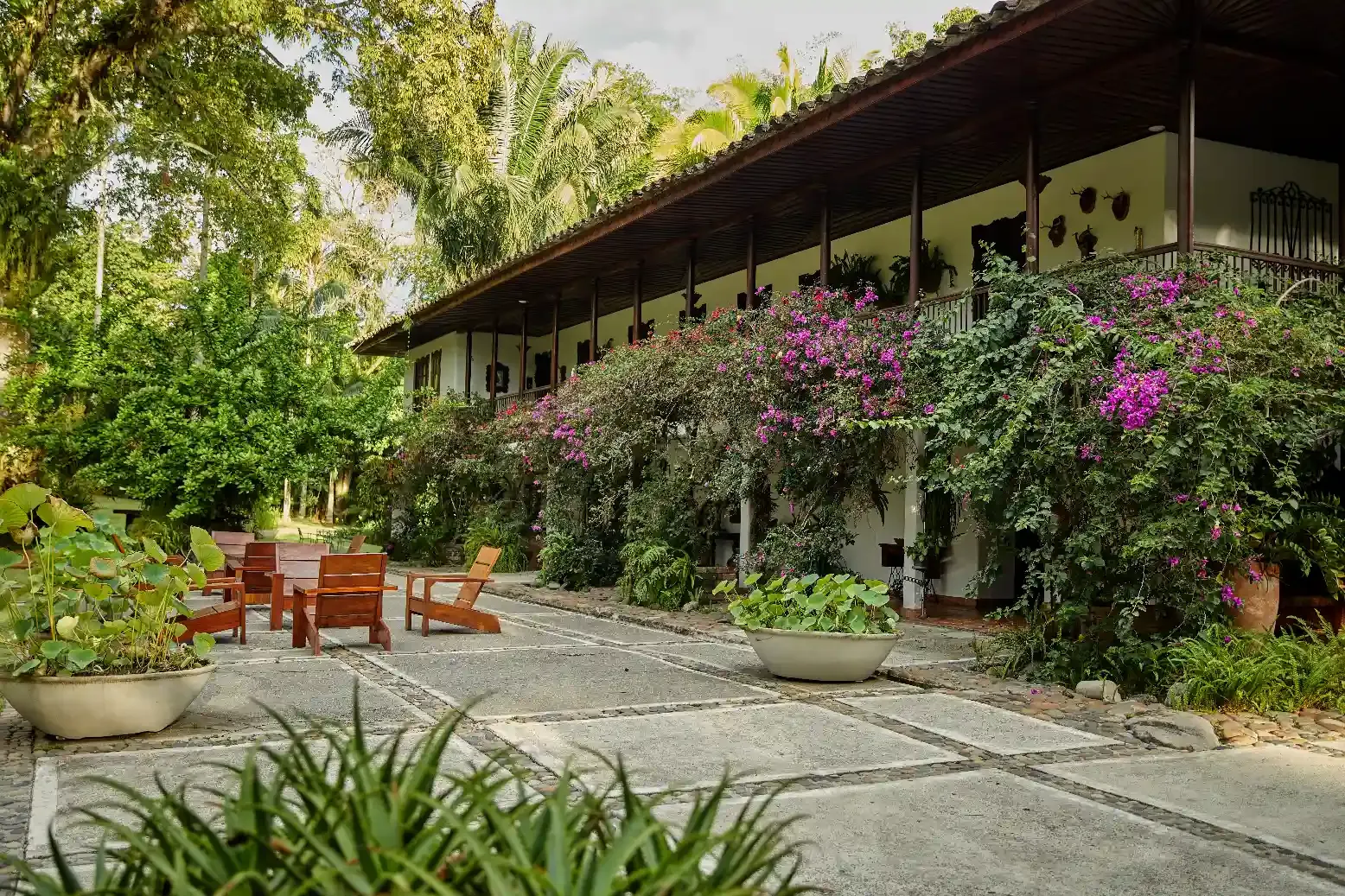 Galería de la Hacienda - Foto 15