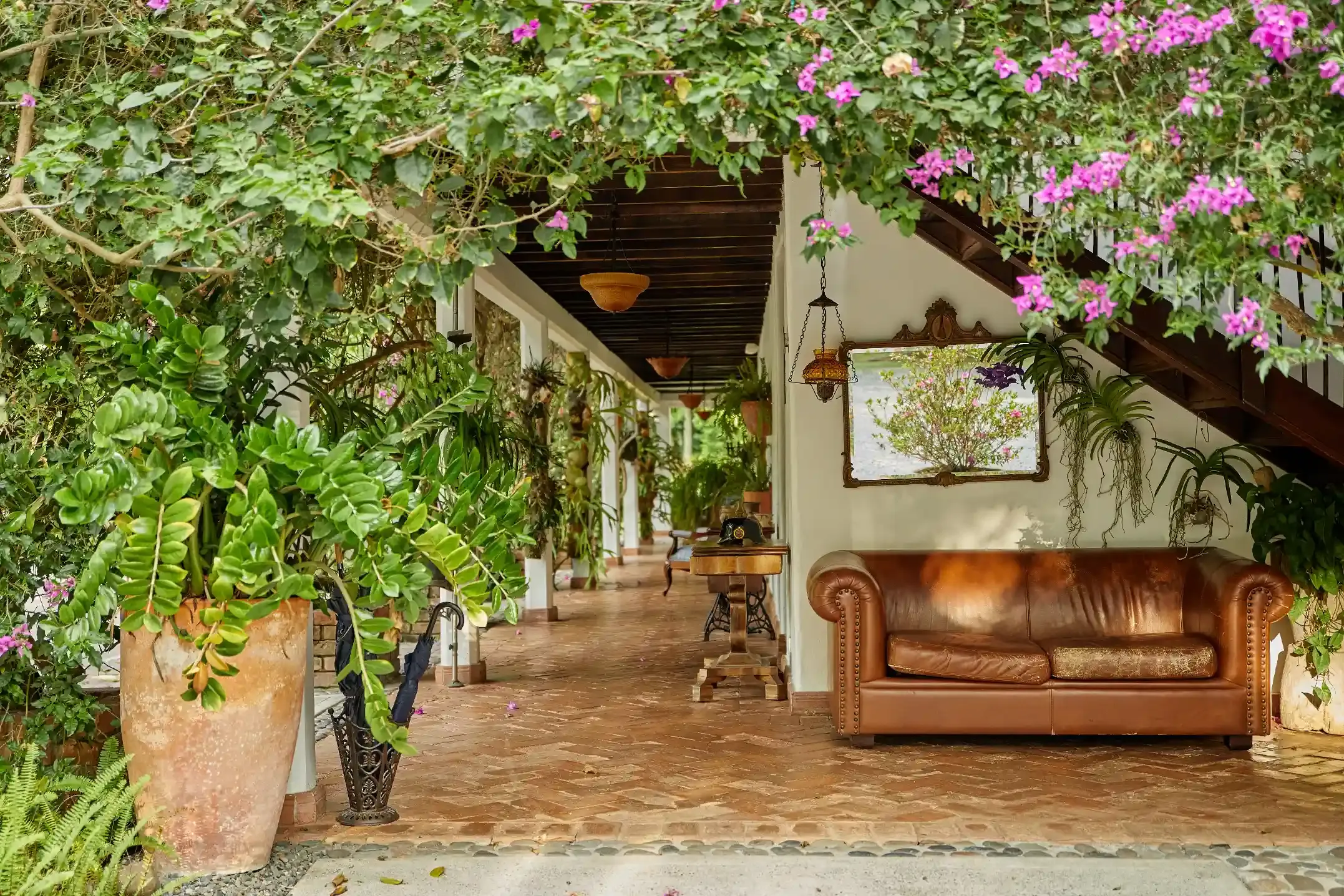 Galería de la Hacienda - Foto 16