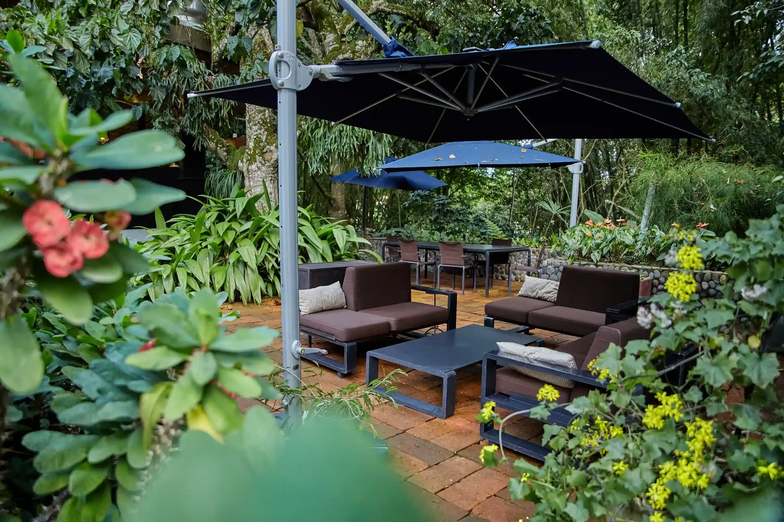 Galería de la Hacienda - Foto 19