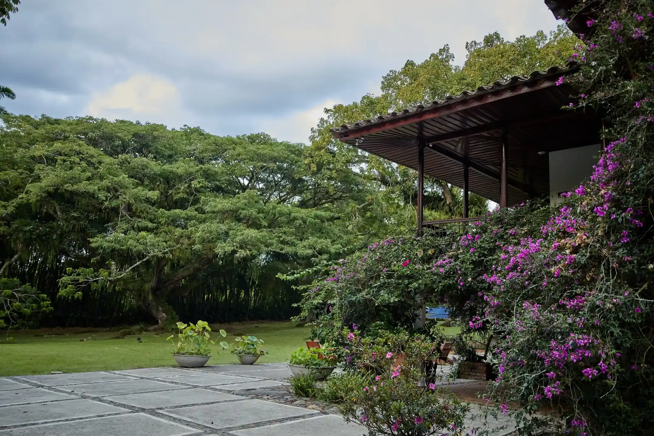 Galería de la Hacienda - Foto 21