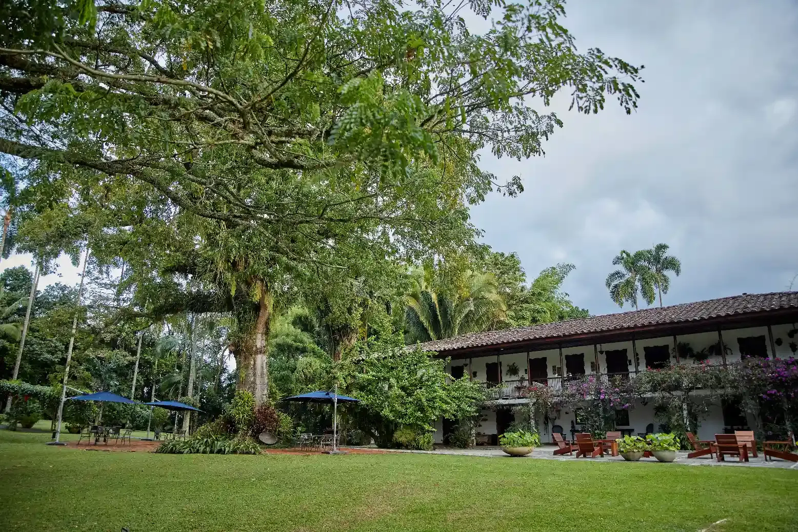 Galería de la Hacienda - Foto 22